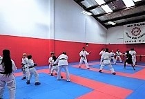 New Lynn dojo