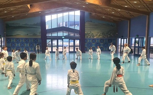 Mangere Dojo 01 500X313